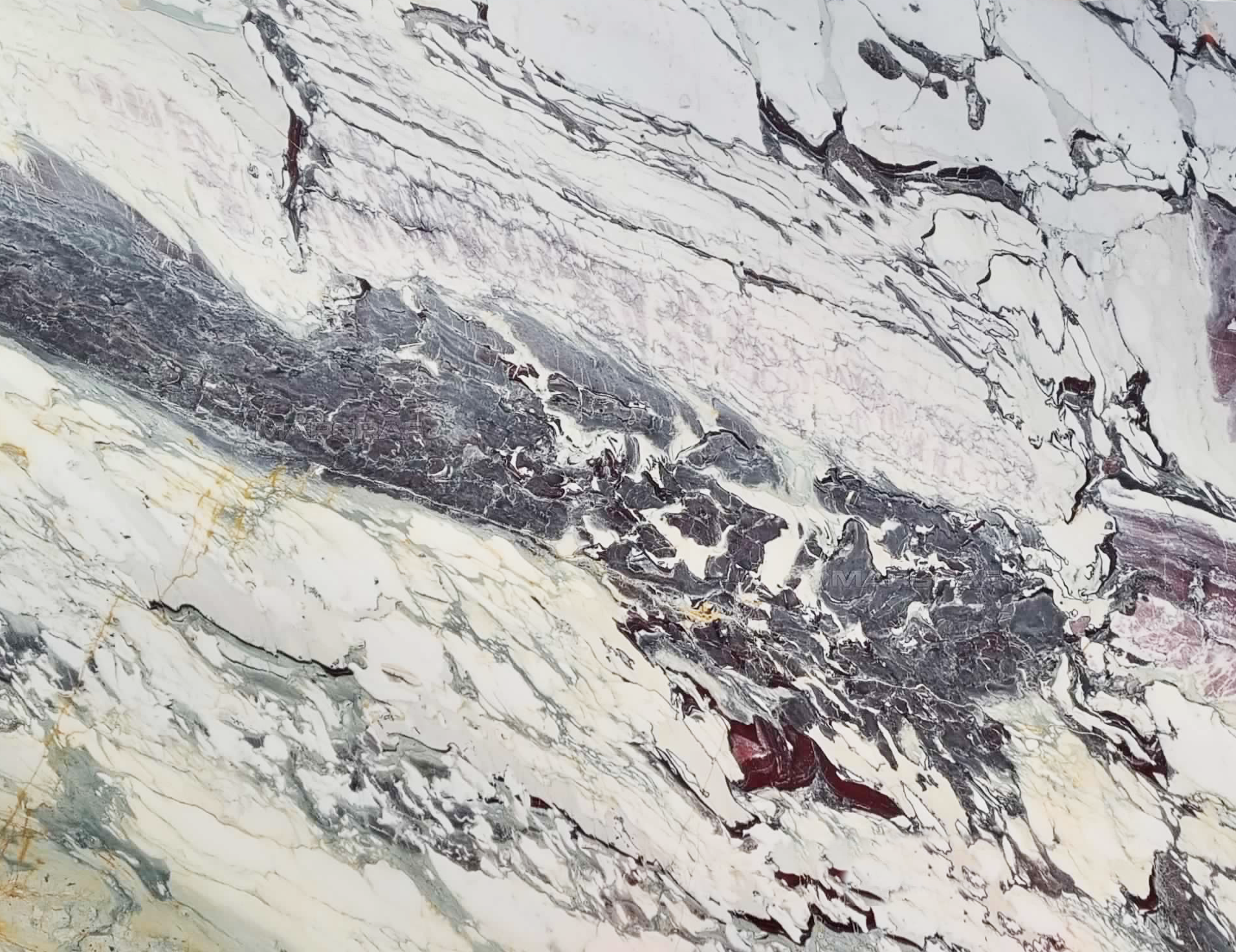 breccia-capraia